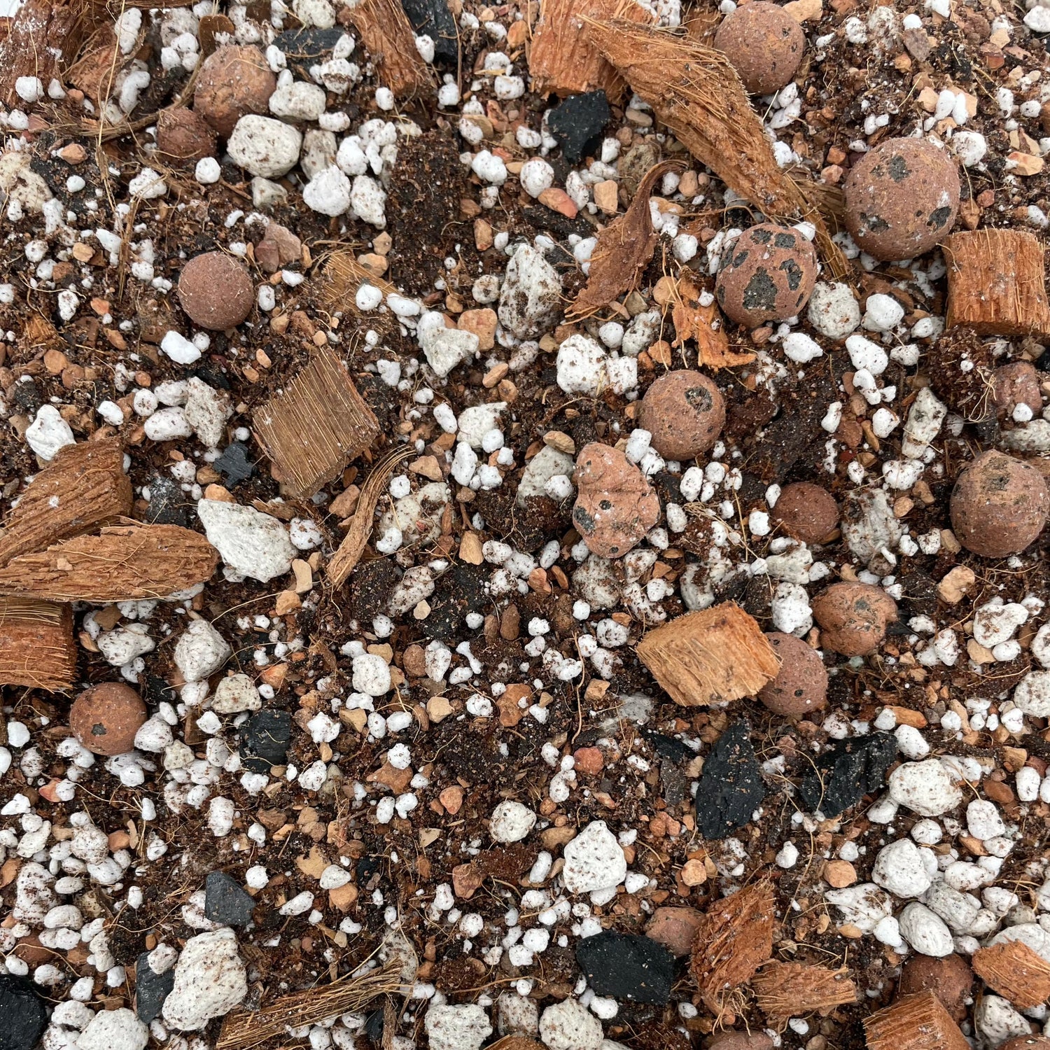 The Gay Ole Dirt Bag Chunky Soil Blend