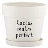 Large Witty Pot With Saucer