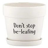 Large Witty Pot With Saucer