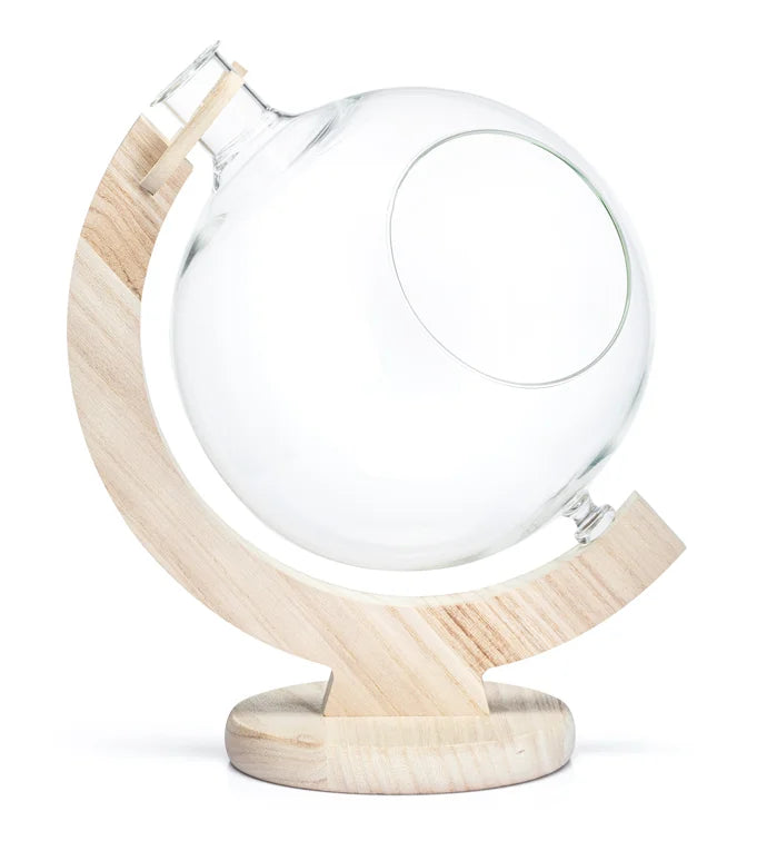 Glass Globe Terrarium Semi Circle