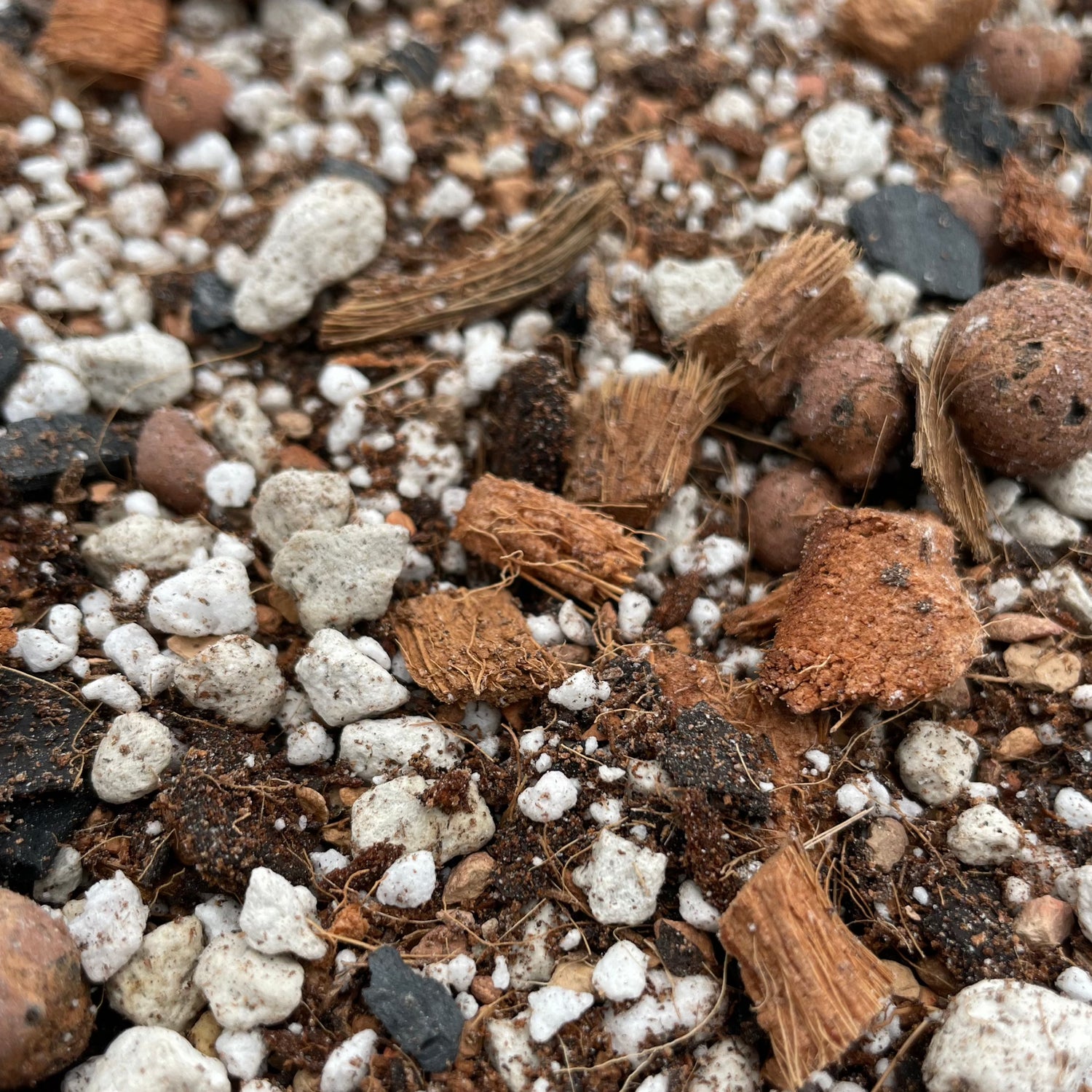 The Gay Ole Dirt Bag Chunky Soil Blend