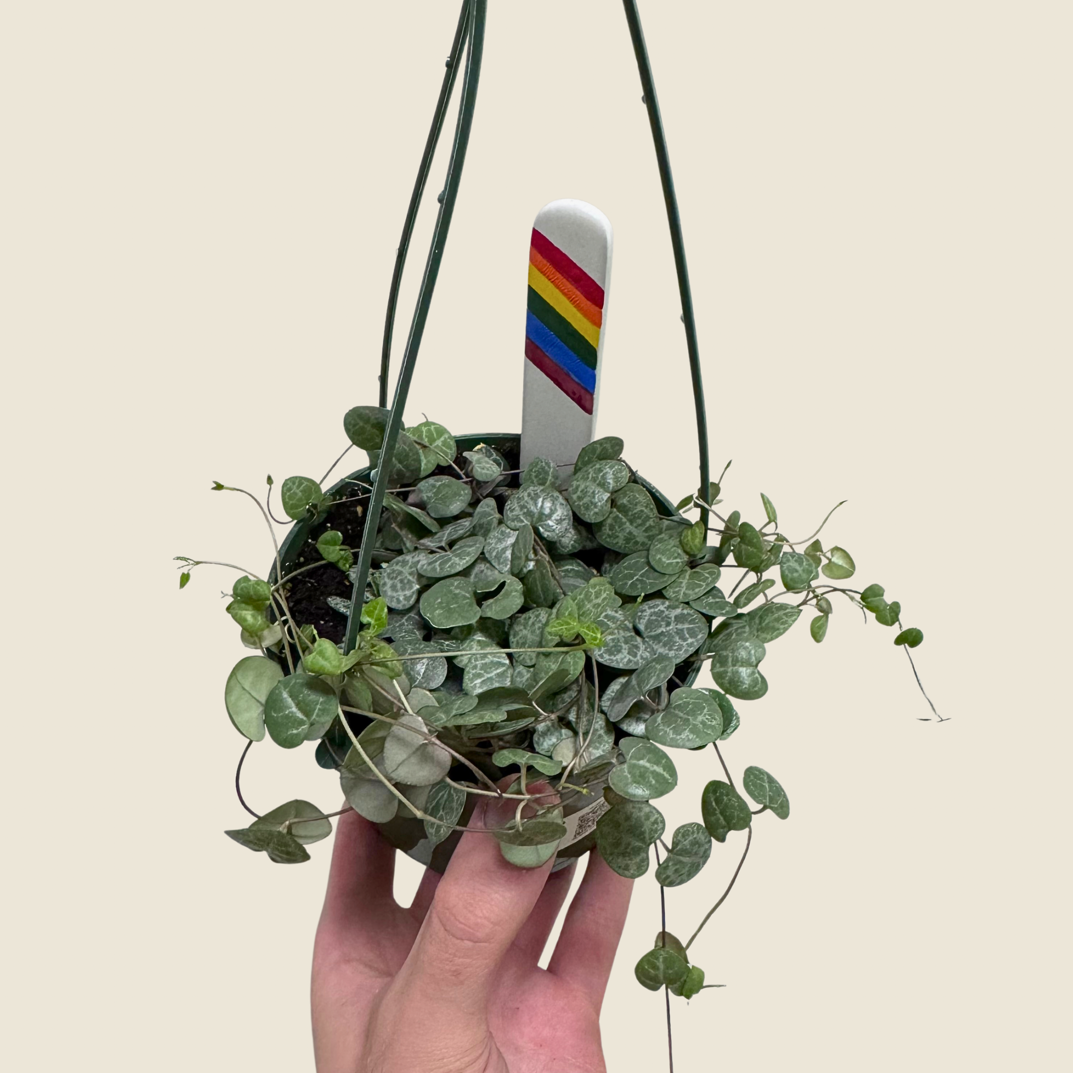 String of Hearts