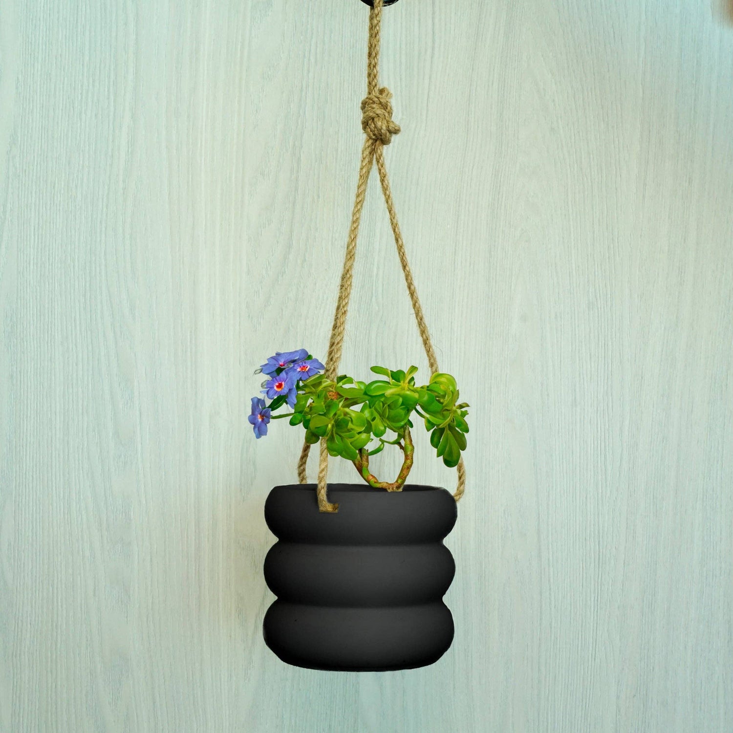 Hanging Bubble Plant Pot "As Is"