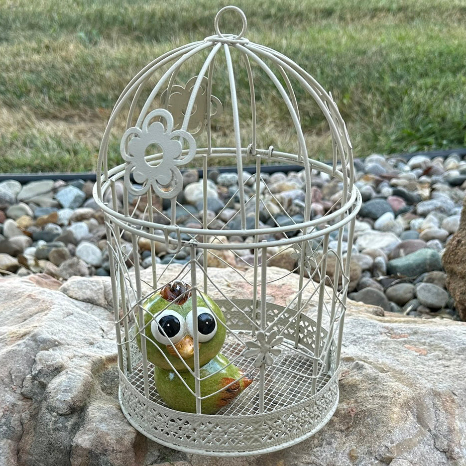 Metal Bird Cage