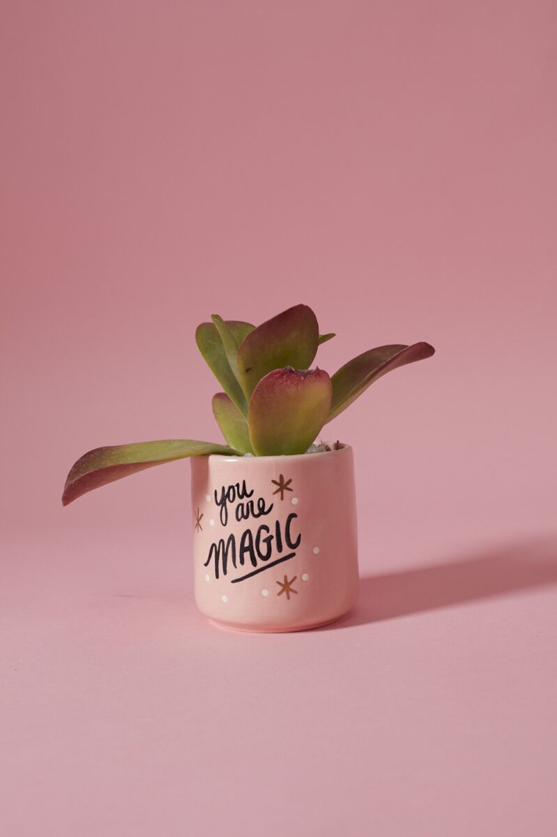 You Are Magic Pot