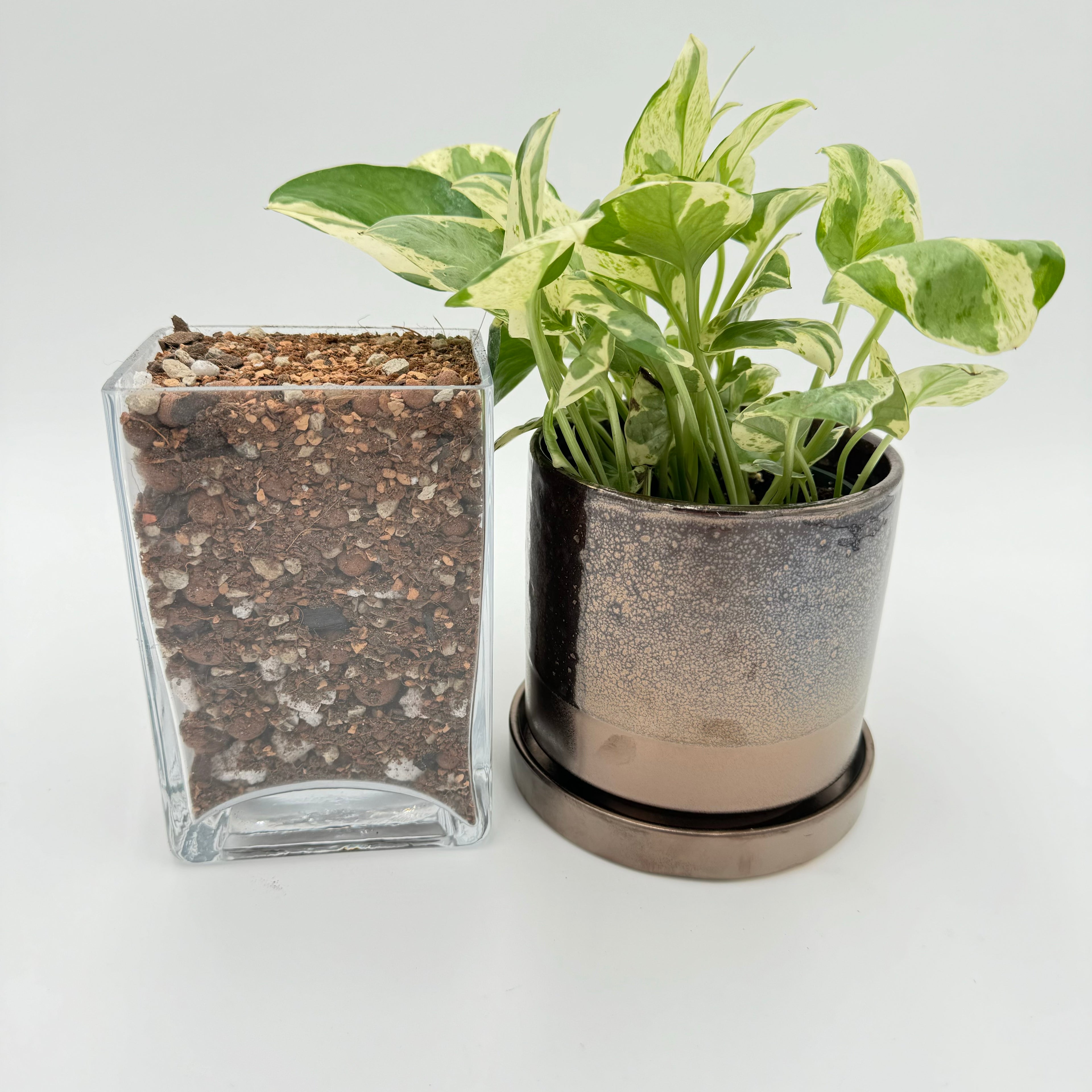 The Gay Ole Dirt Bag Chunky Soil Blend