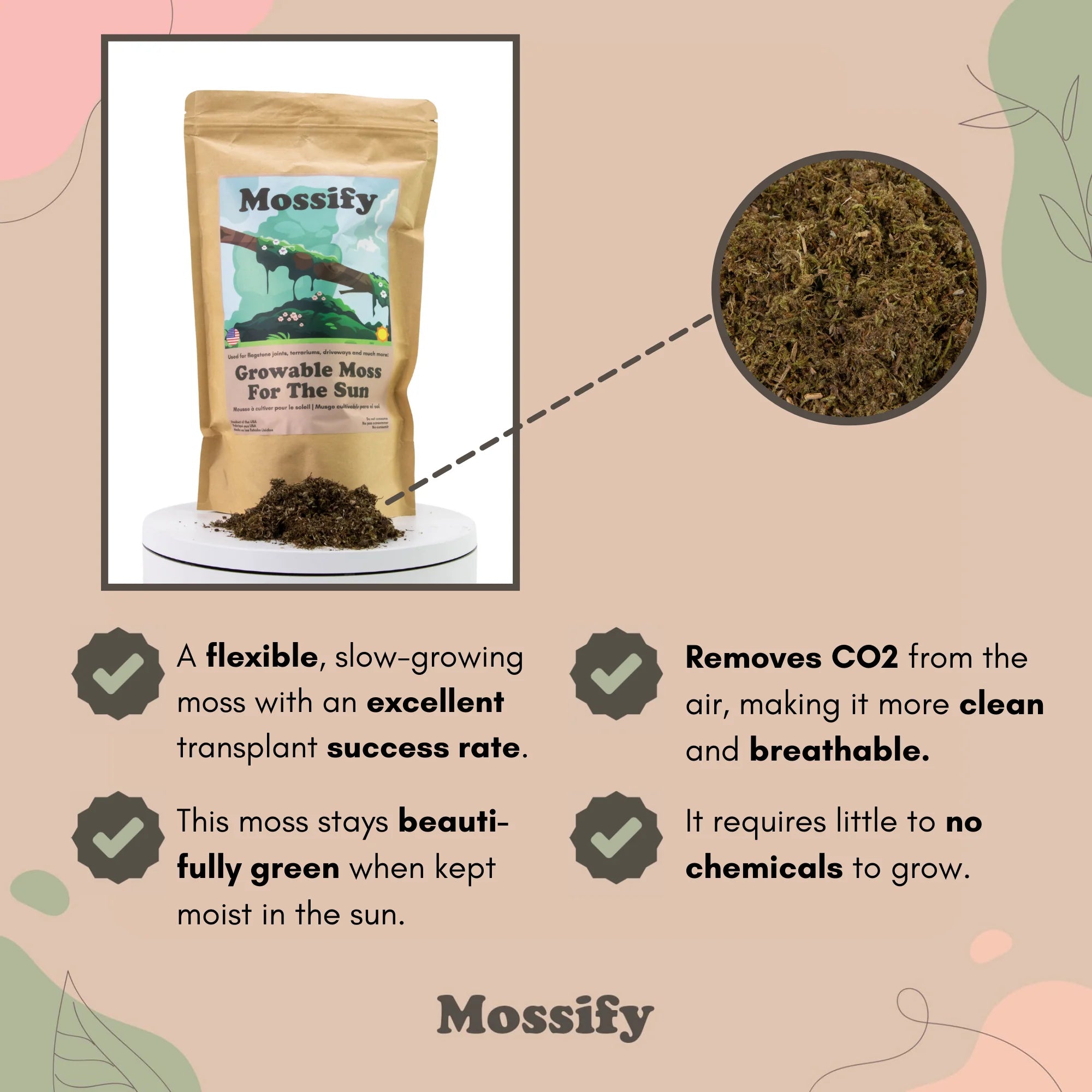 Growable Moss For The Sun