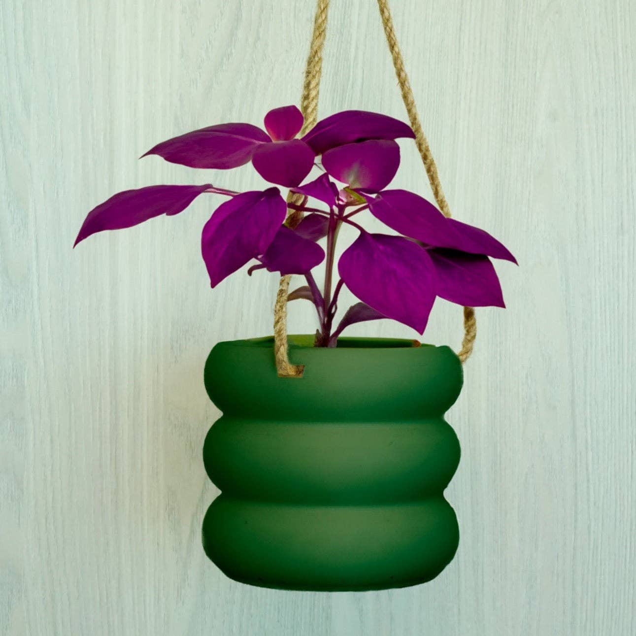 Hanging Bubble Plant Pot "As Is"