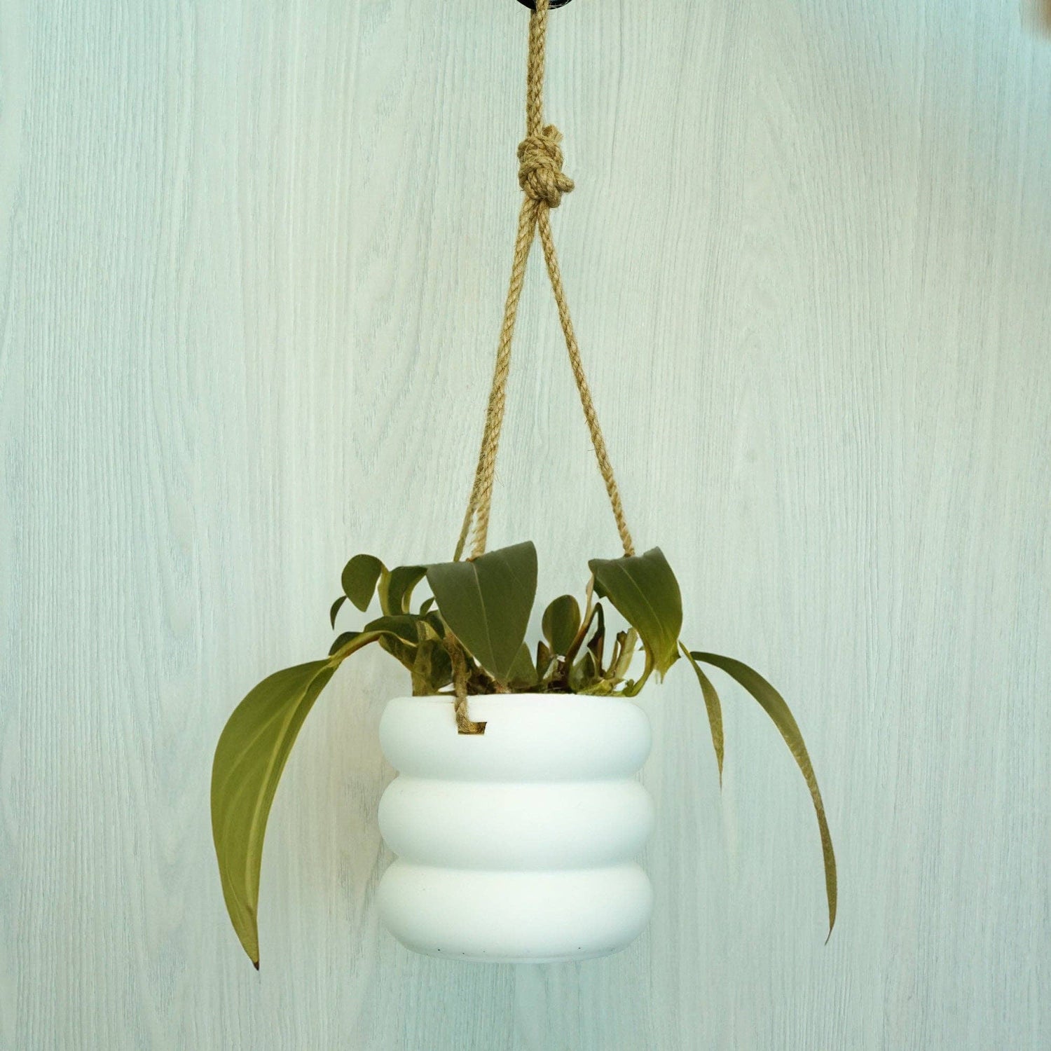 Hanging Bubble Plant Pot "As Is"