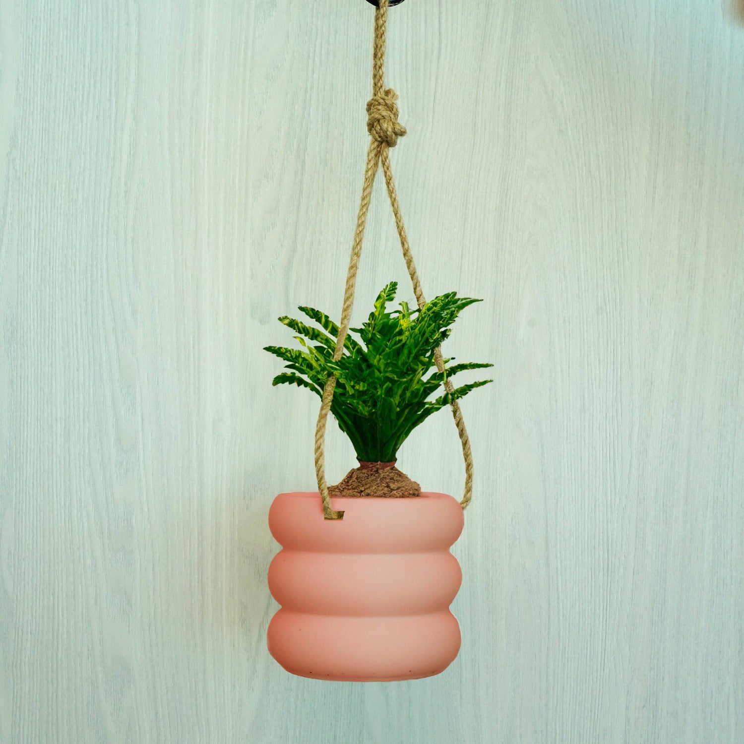 Hanging Bubble Plant Pot "As Is"