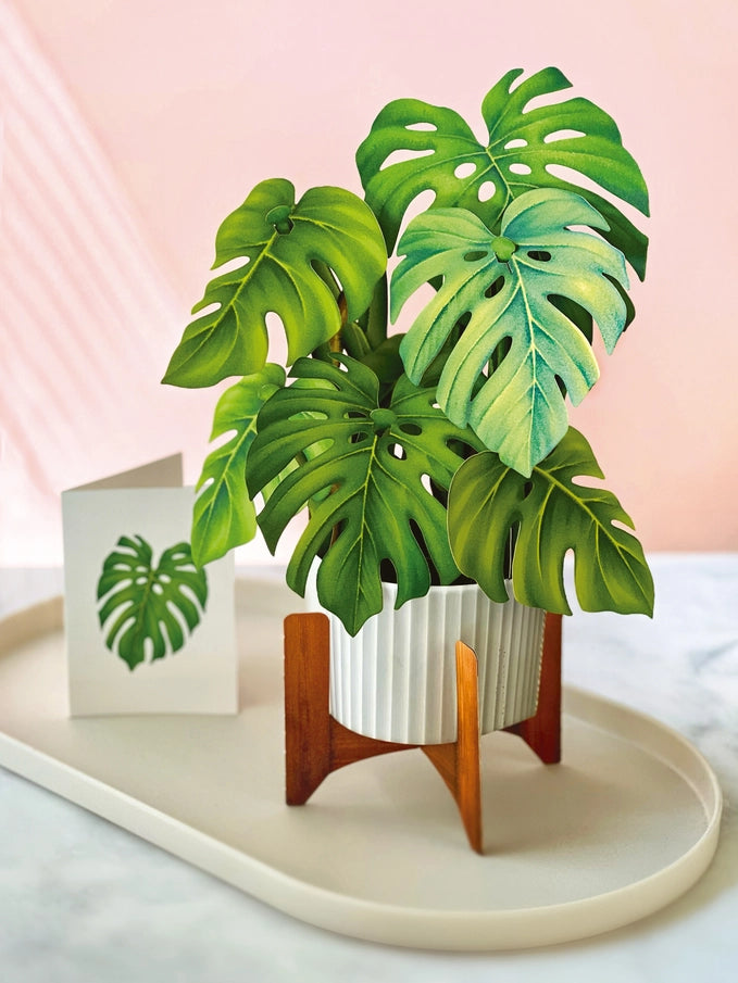 Pop-up Greeting Card