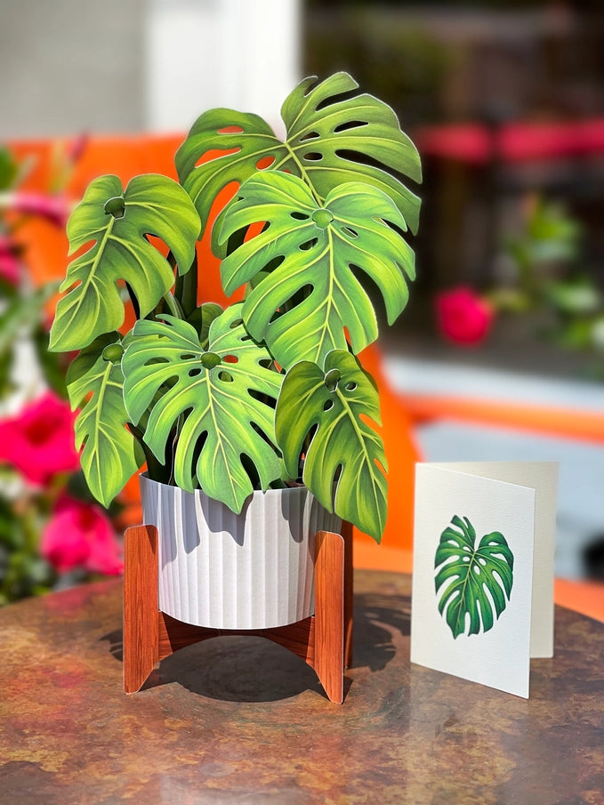 Pop-up Greeting Card