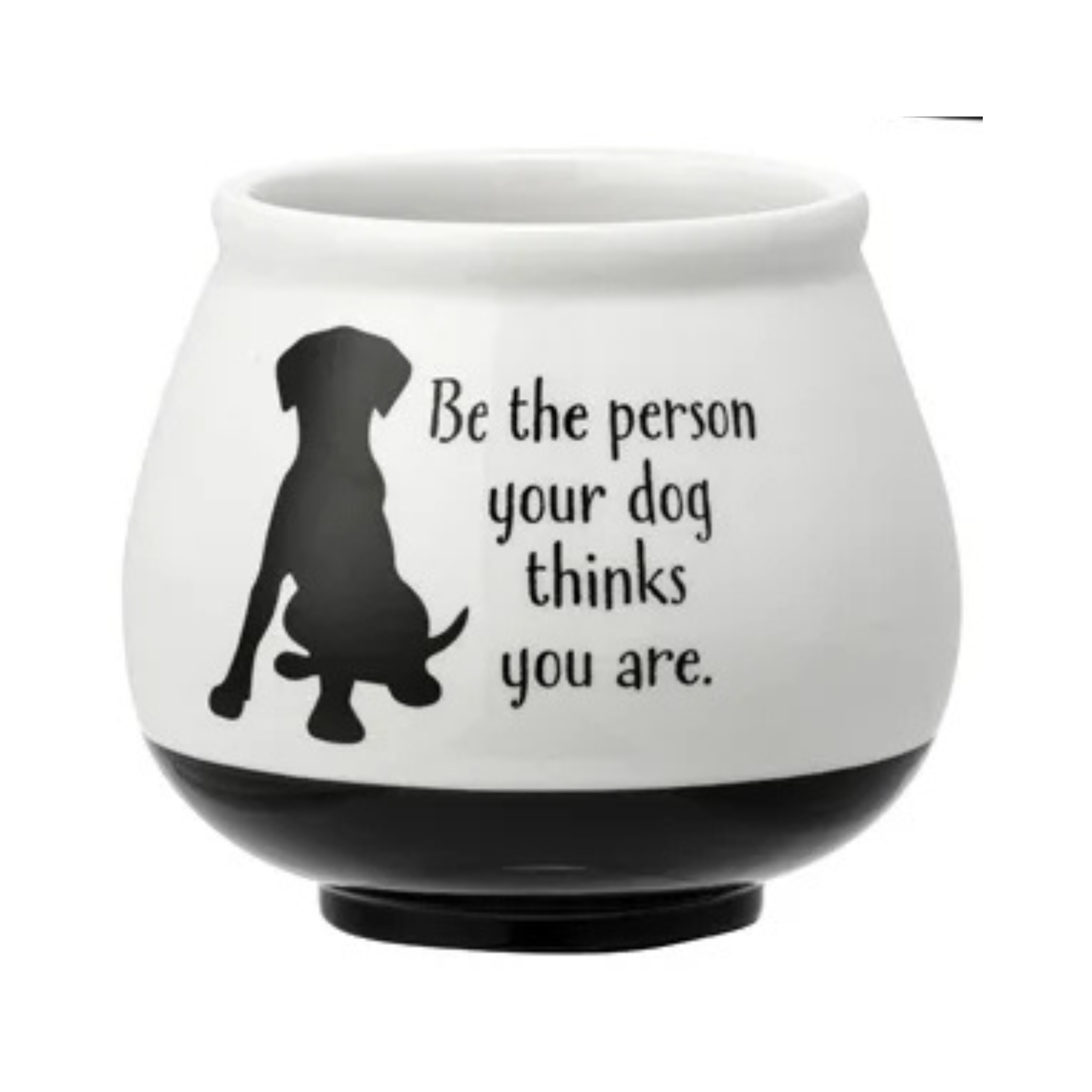 Witty Animal Black & White Planter