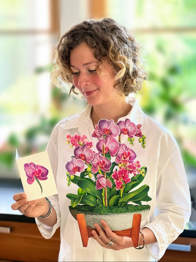 Pop-up Greeting Card
