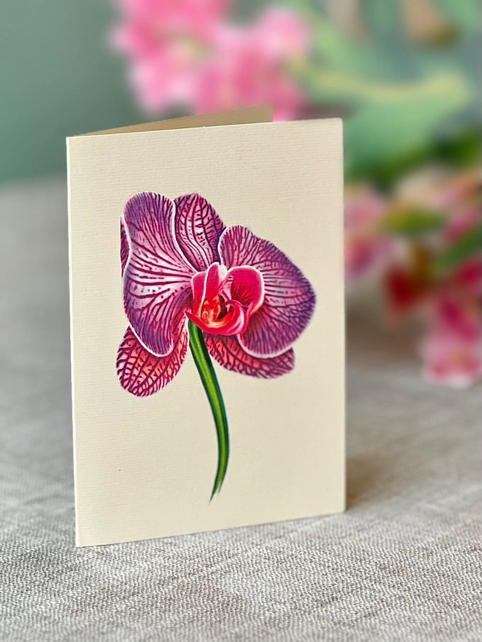 Pop-up Greeting Card