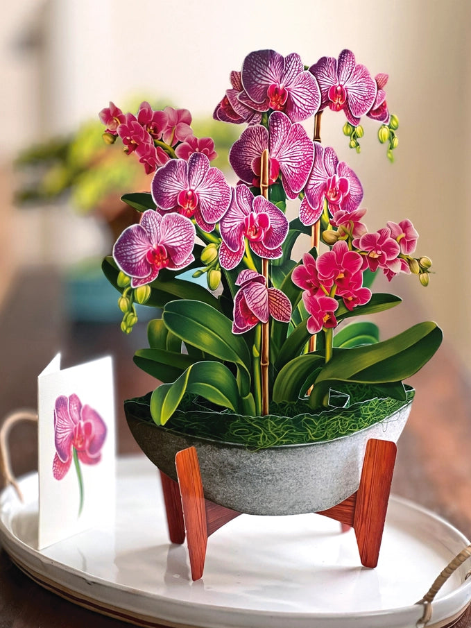 Pop-up Greeting Card