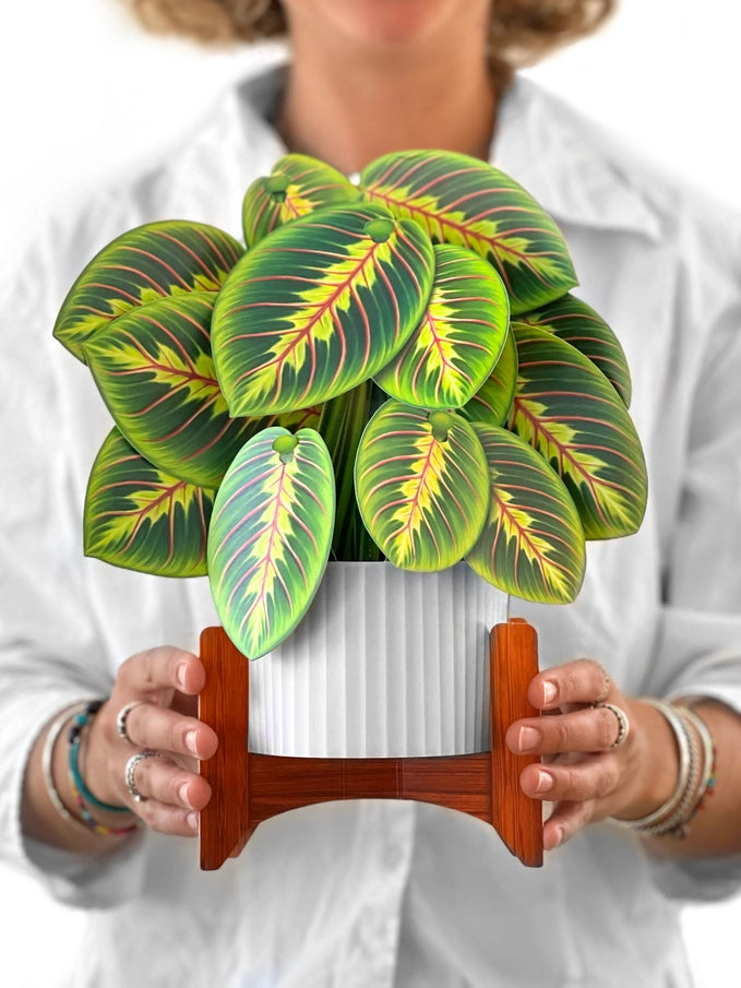 Pop-up Greeting Card