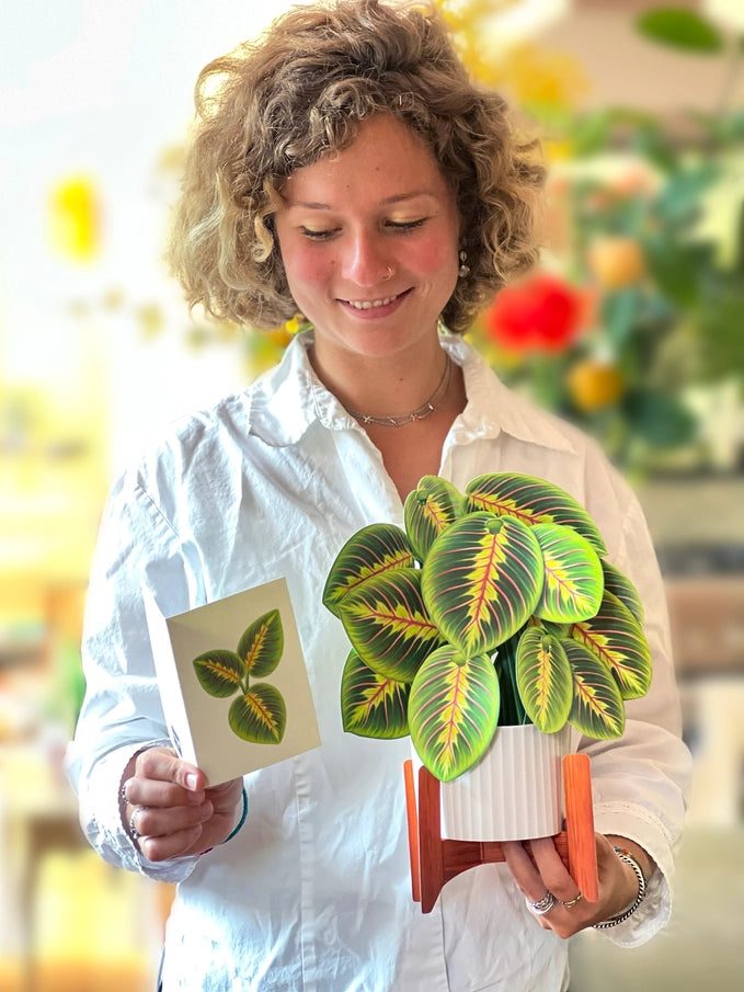 Pop-up Greeting Card