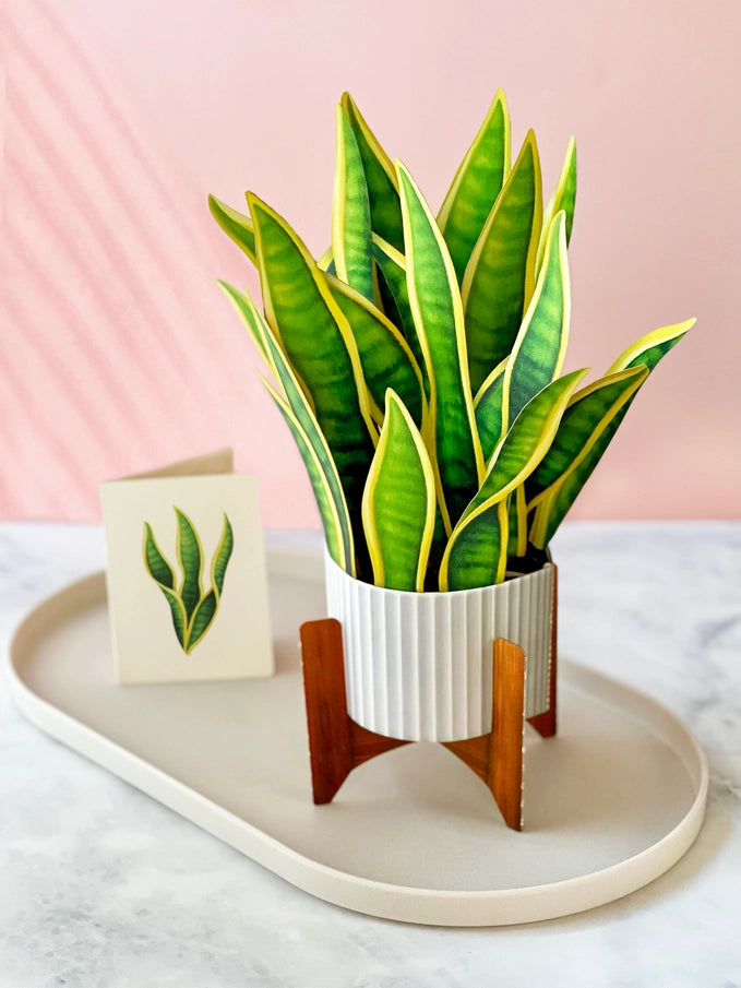 Pop-up Greeting Card