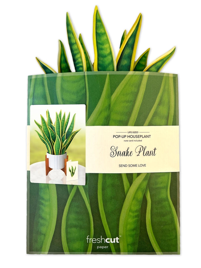 Pop-up Greeting Card