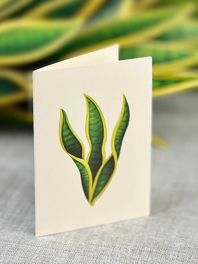 Pop-up Greeting Card
