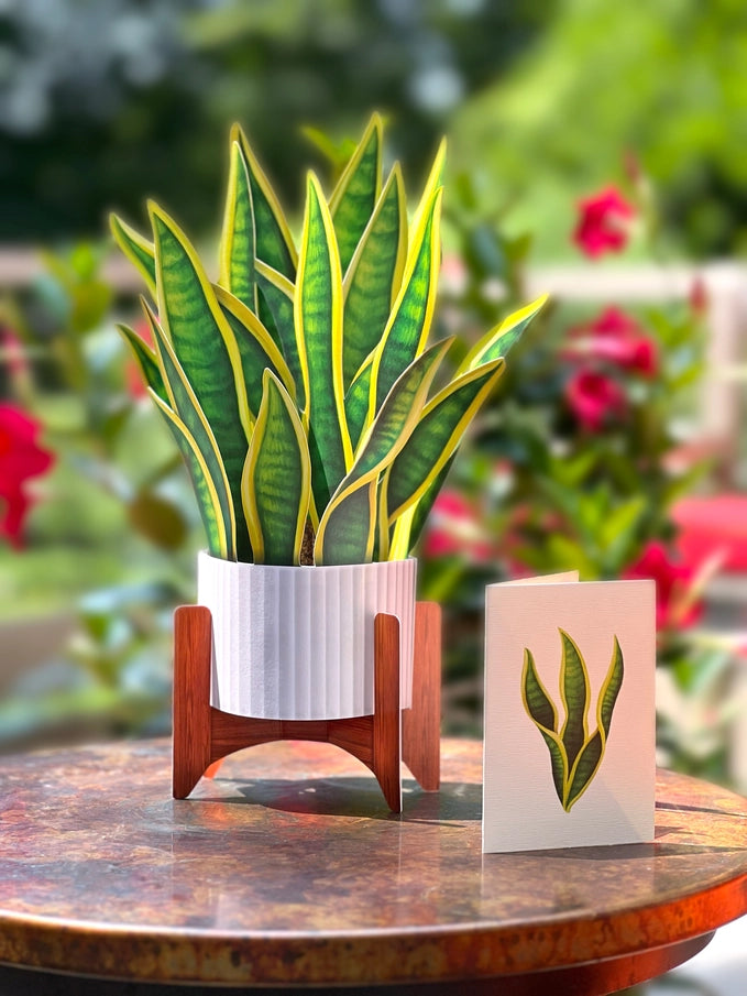 Pop-up Greeting Card