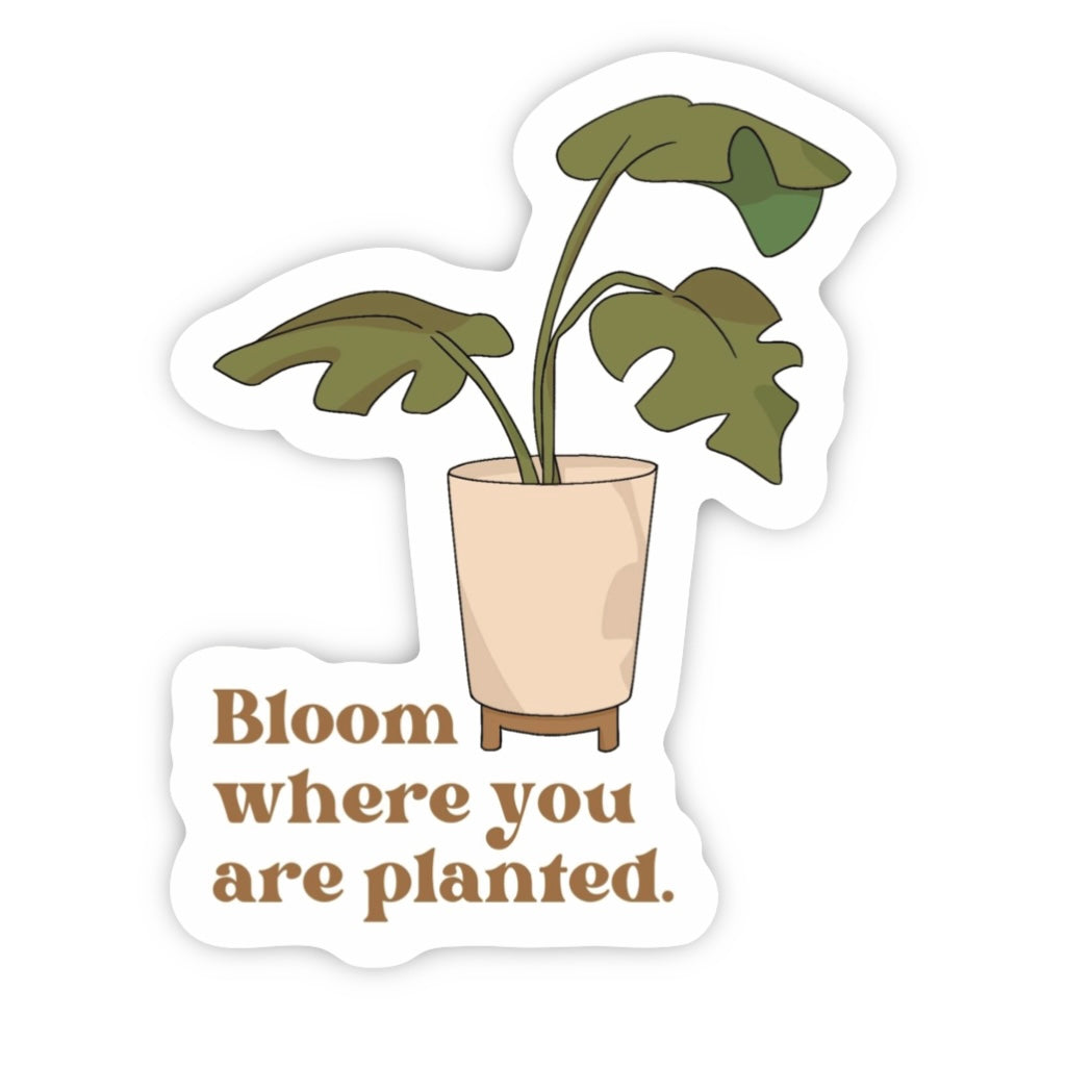 Bloom Where You Are Planted Sticker