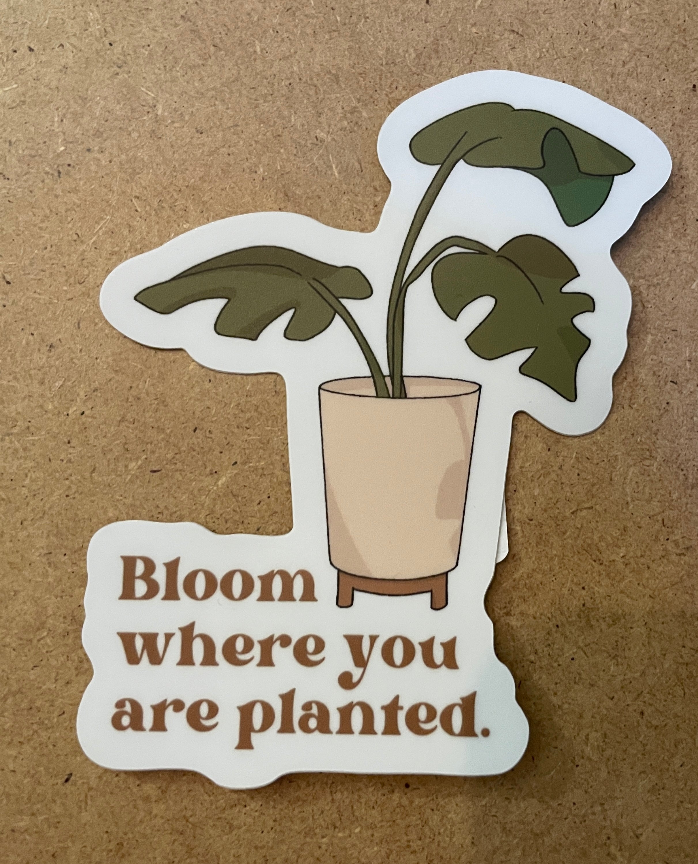Bloom Where You Are Planted Sticker