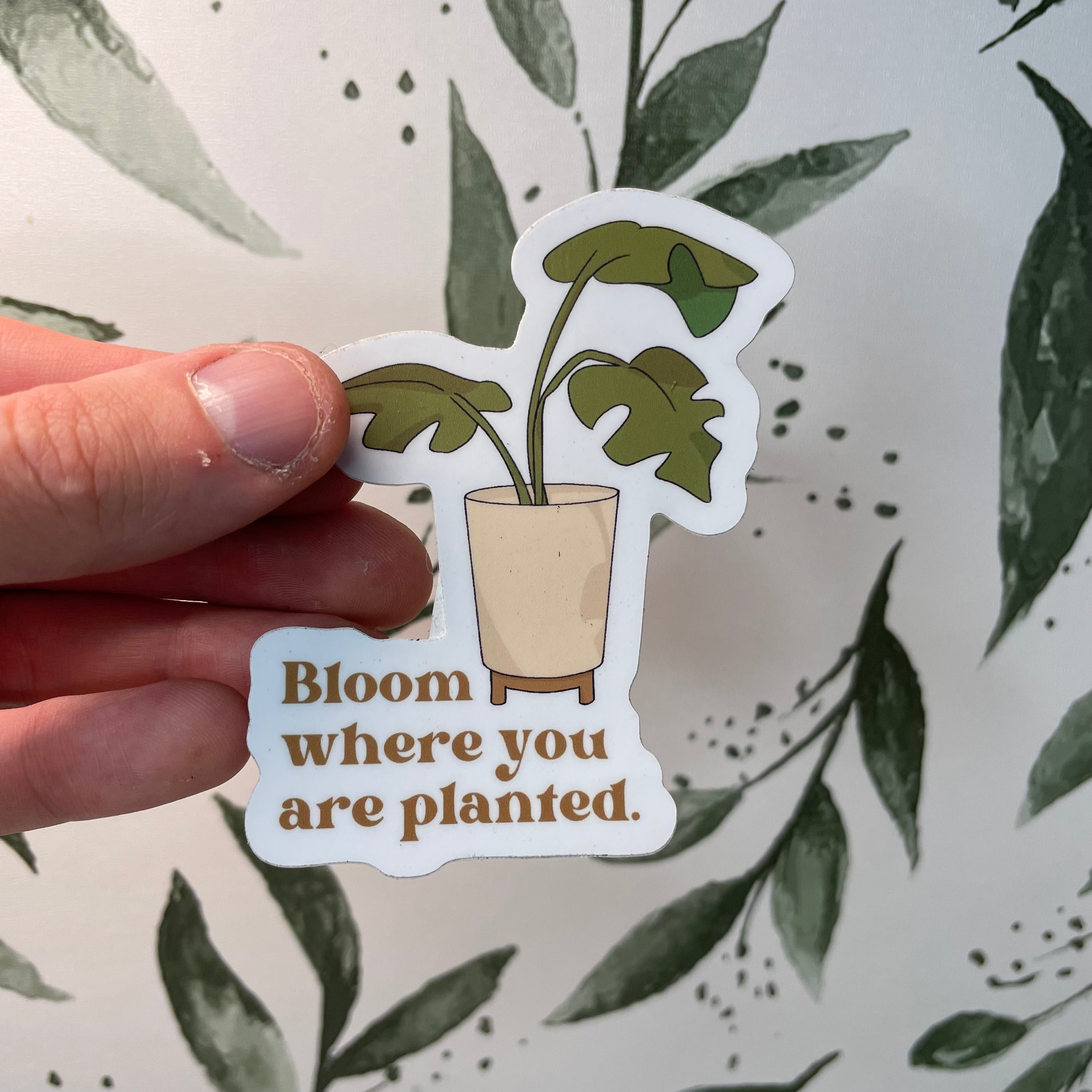 Bloom Where You Are Planted Sticker