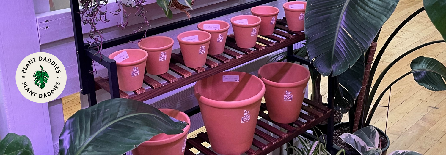 Let’s Talk: Terracotta Pots