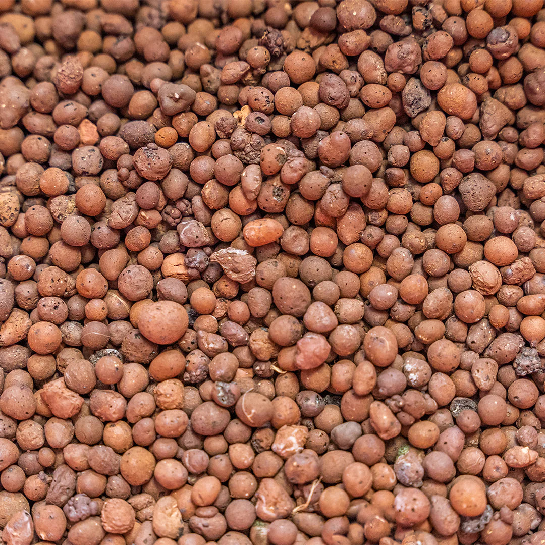 Unlocking the Benefits of LECA: The Ultimate Guide for Houseplant Lovers