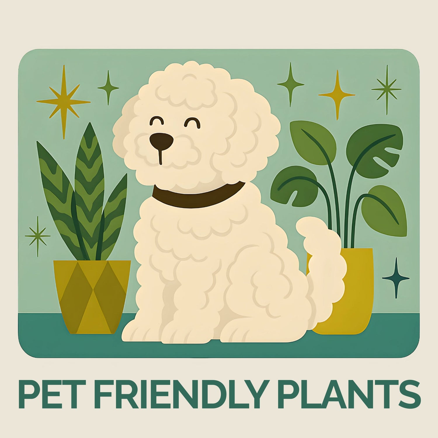 Pet Friendly