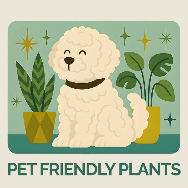 Pet Friendly
