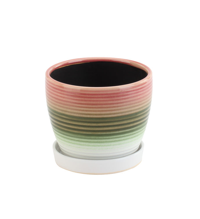 Tri Color Coral Ribbed Pot w/Saucer