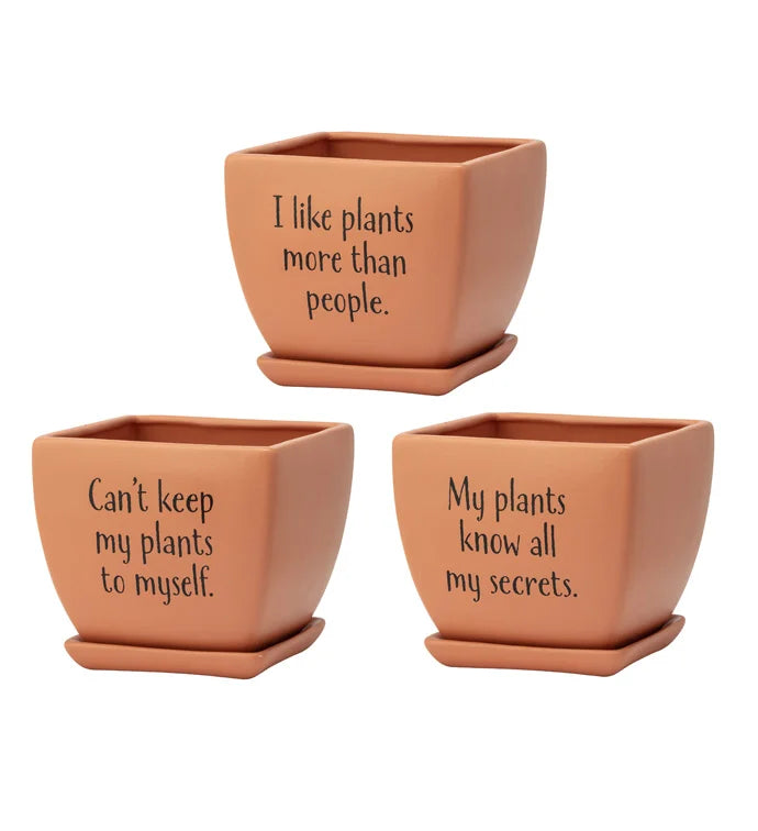 Square Witty Pot with Saucer Terracotta