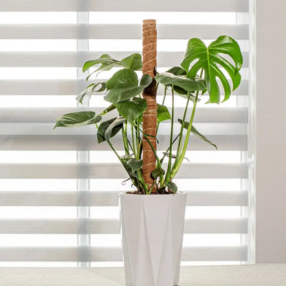 Coco Coir Stackable Plant Support