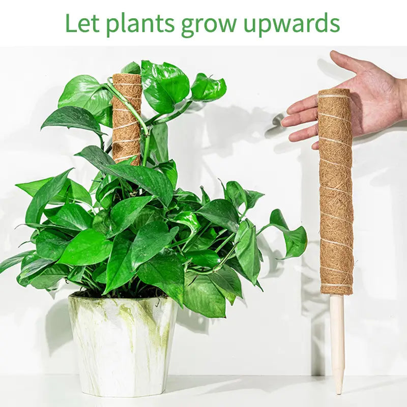 Coco Coir Stackable Plant Support