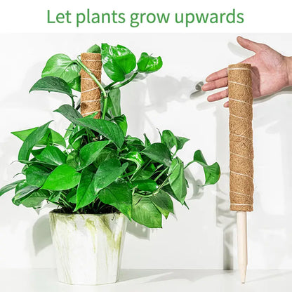 Coco Coir Stackable Plant Support