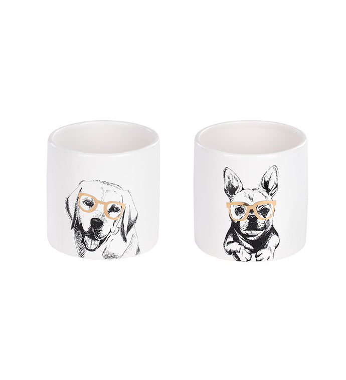 Cool Dogs Planter