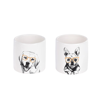 Cool Dogs Planter