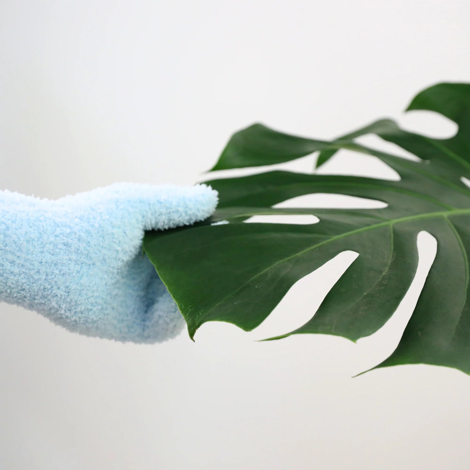 Leaf Shining Microfiber Gloves