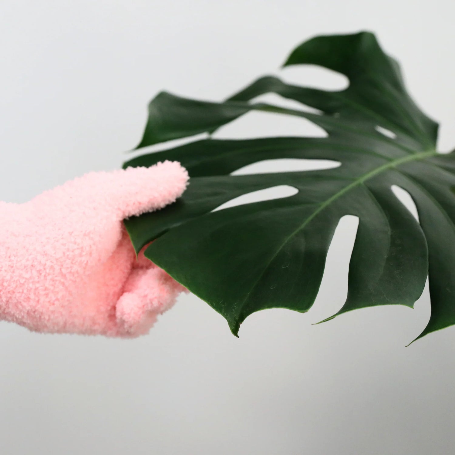 Leaf Shining Microfiber Gloves