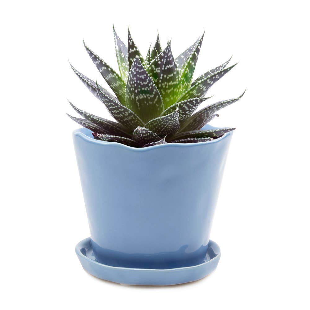 Tika 8&quot; Pot &amp; Saucer