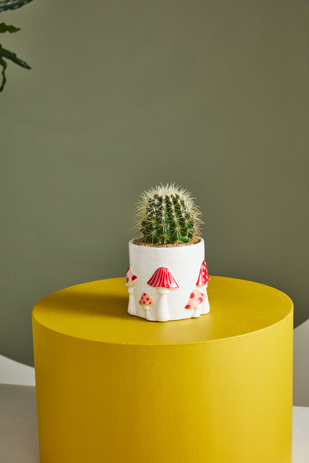 Cheerful Mushroom Pot