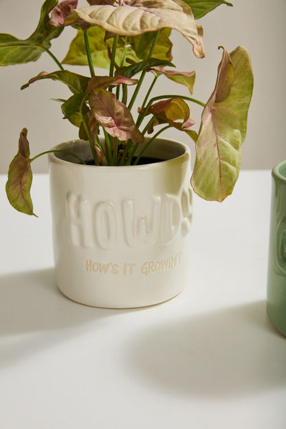 Plantism Pot