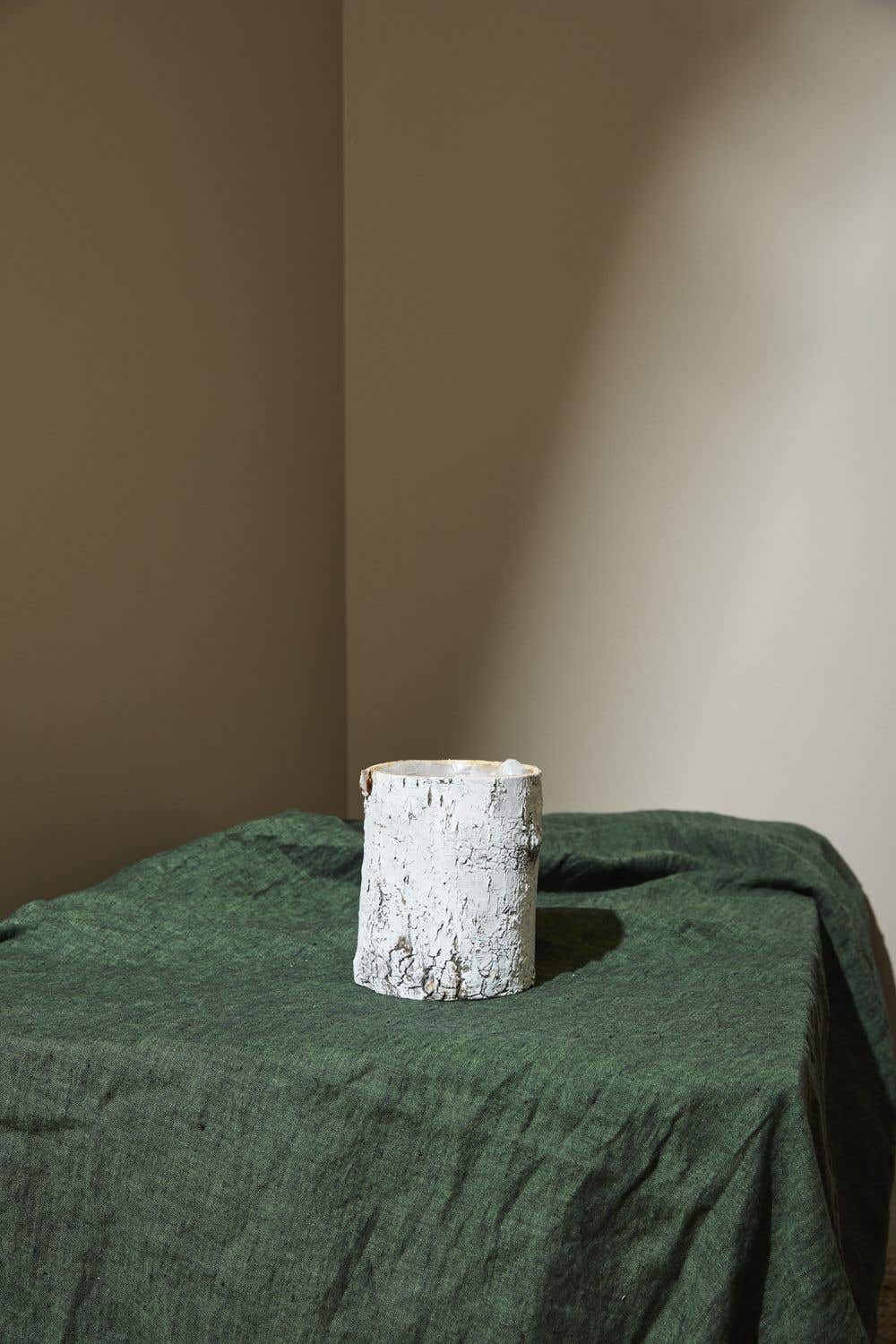White Birch Pot