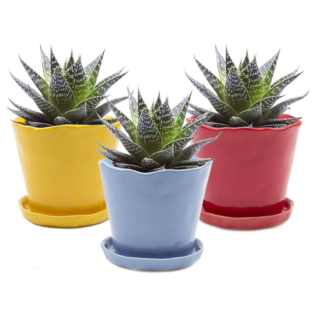 Tika 8&quot; Pot &amp; Saucer