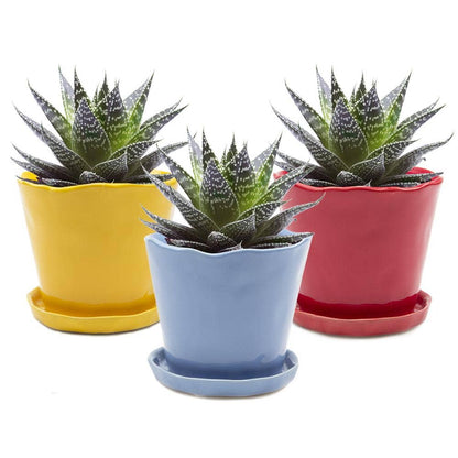 Tika 8&quot; Pot &amp; Saucer