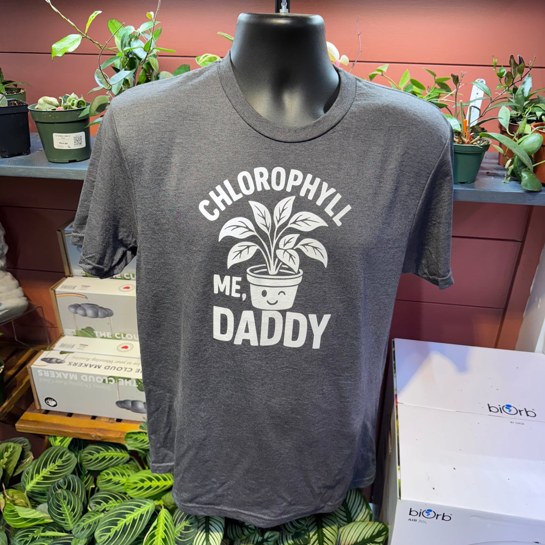 Chlorophyll Me, Daddy Tee