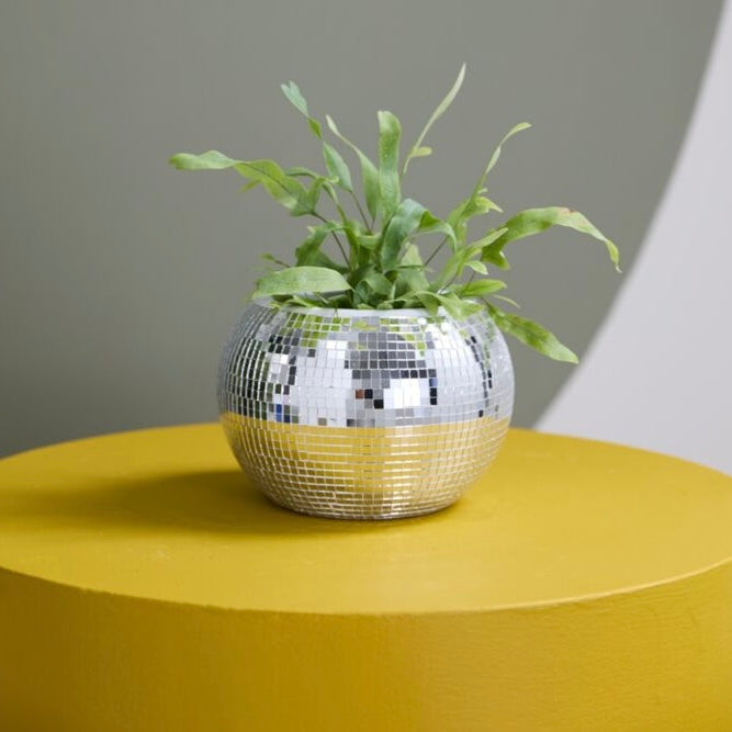 Disco Ball Planter 6.5” x 4.75”